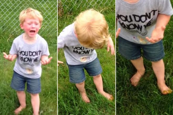 Kid-freaks-out-after-stepping-in-dog-poo