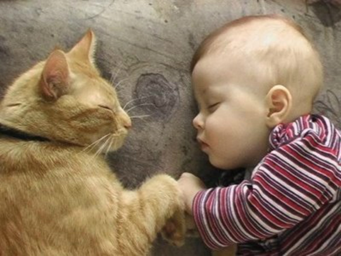 babyandcatsleeping