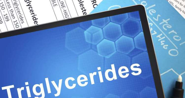 triglycerides