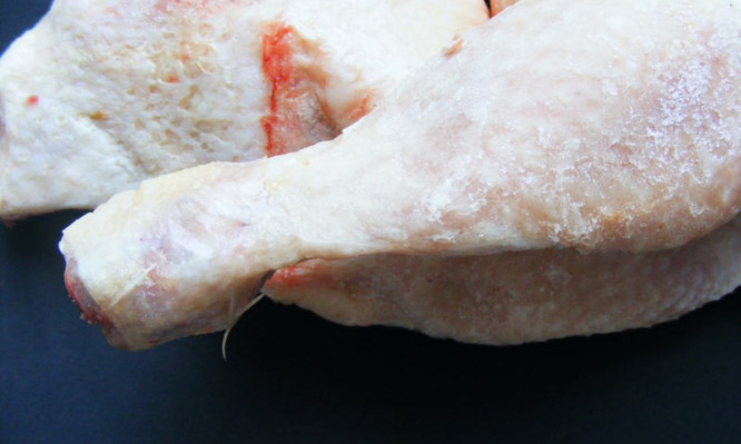 halal-frozen-chicken-1079476-666x399