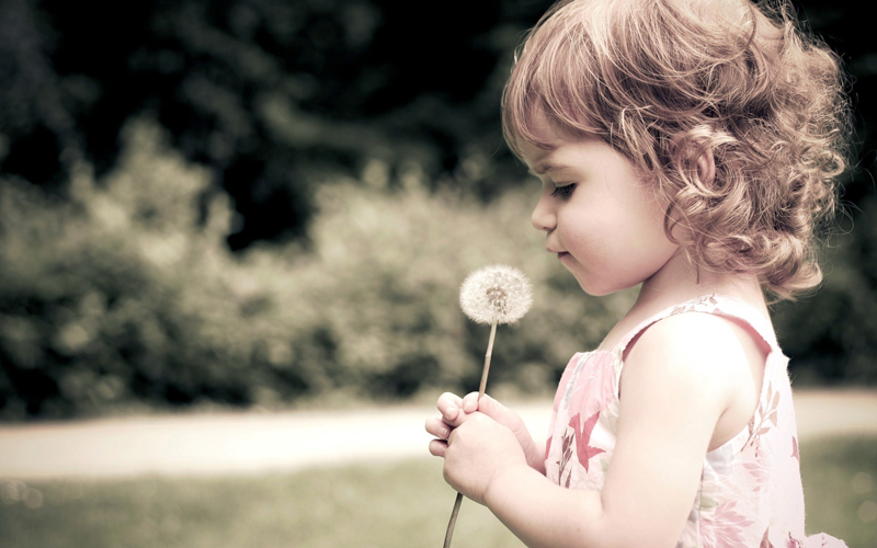 child-girl-flower-dandelion-photo-wallpaper-2560x1600