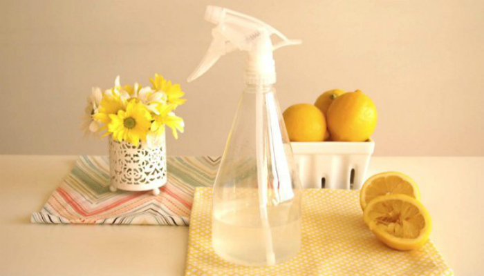 thehomeissue_airfreshner001