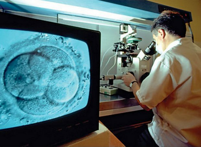 vitro_fertilization