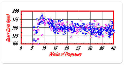 Fetal-Heart-Rate