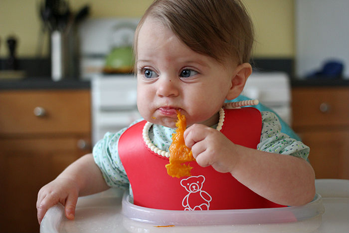 Baby Led Weaning