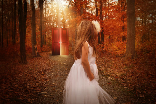 bigstock-child-in-woods-looking-at-glow-91125074