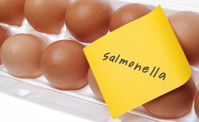 salmonella-and-raw-eggs