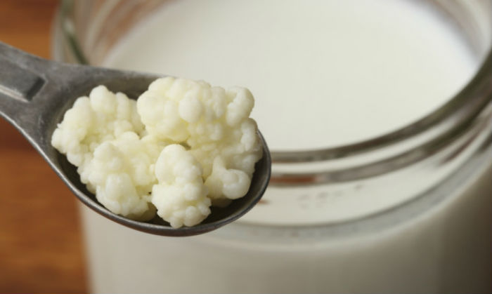 kefir