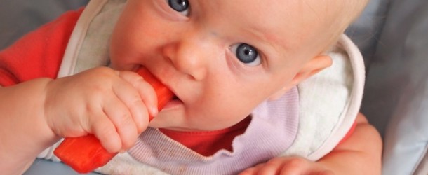 Baby Led Weaning