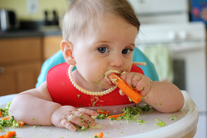 Baby Led Weaning