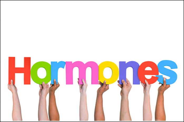 hormones